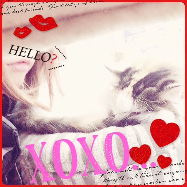�������f�X