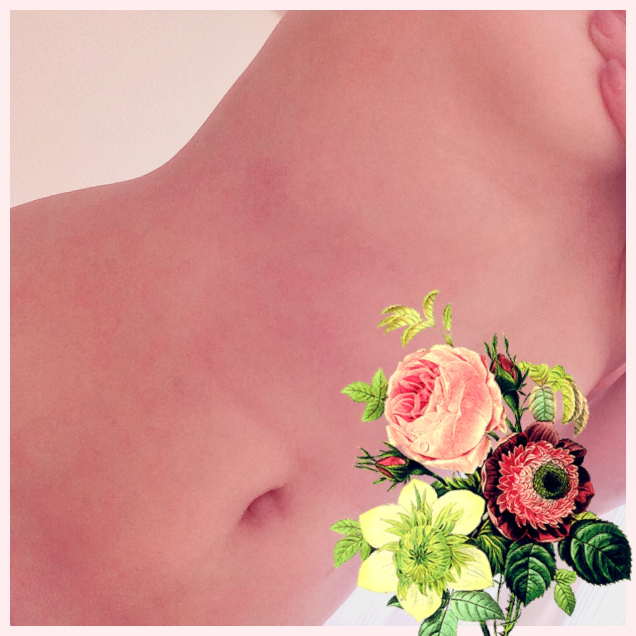 �o�΂��܂���