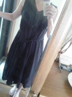 ���ł���