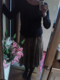 ���ł���