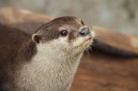 ����ɂ���