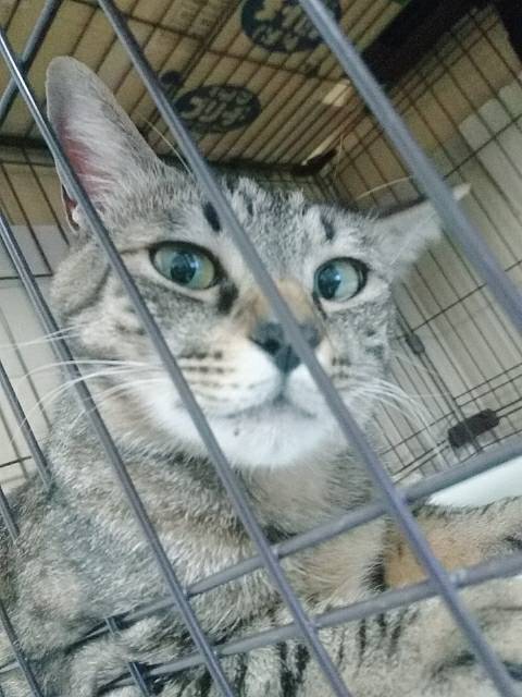 ���͂�`�������܁`��